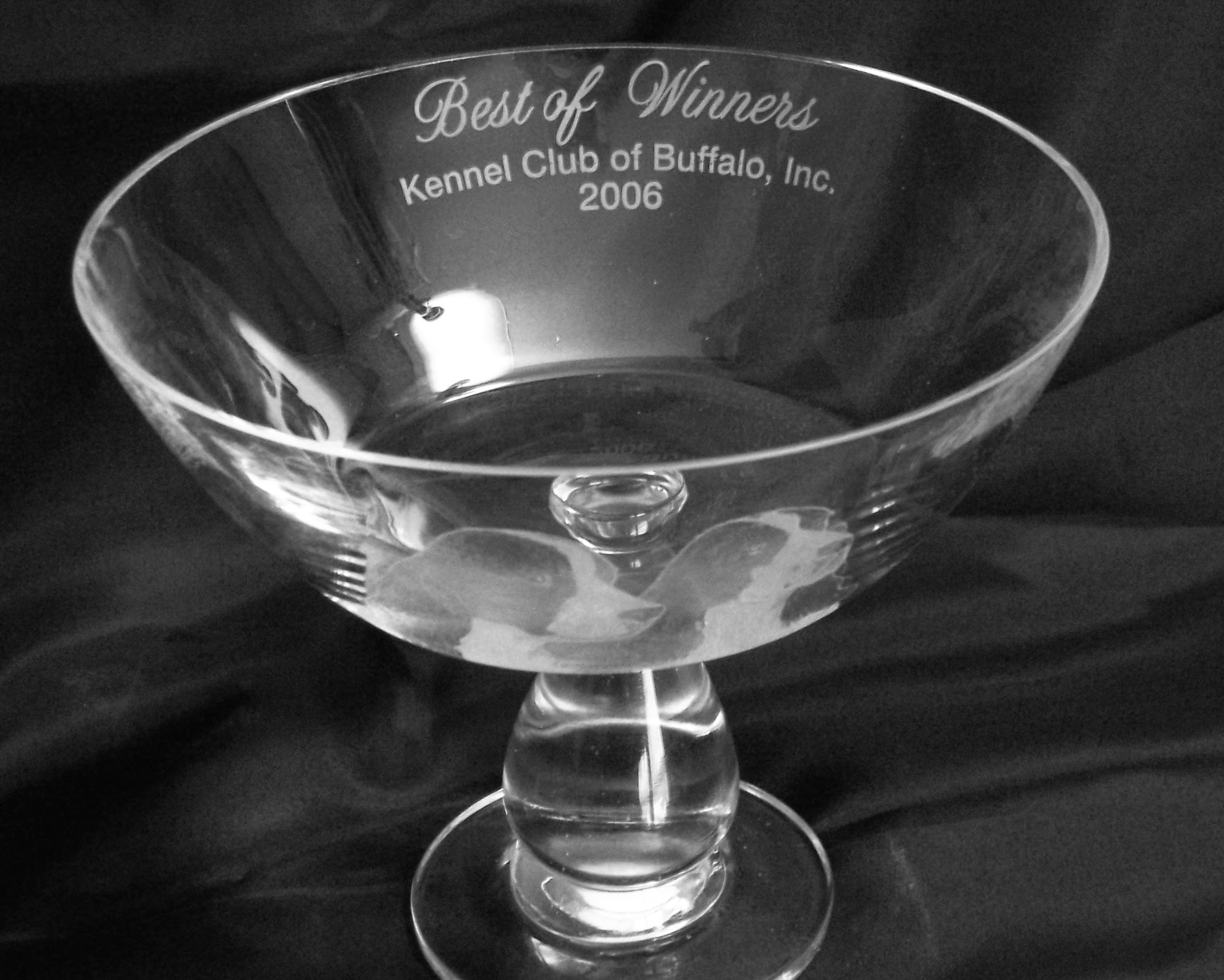 English Springer Spaniel, Best of Winners Trophy