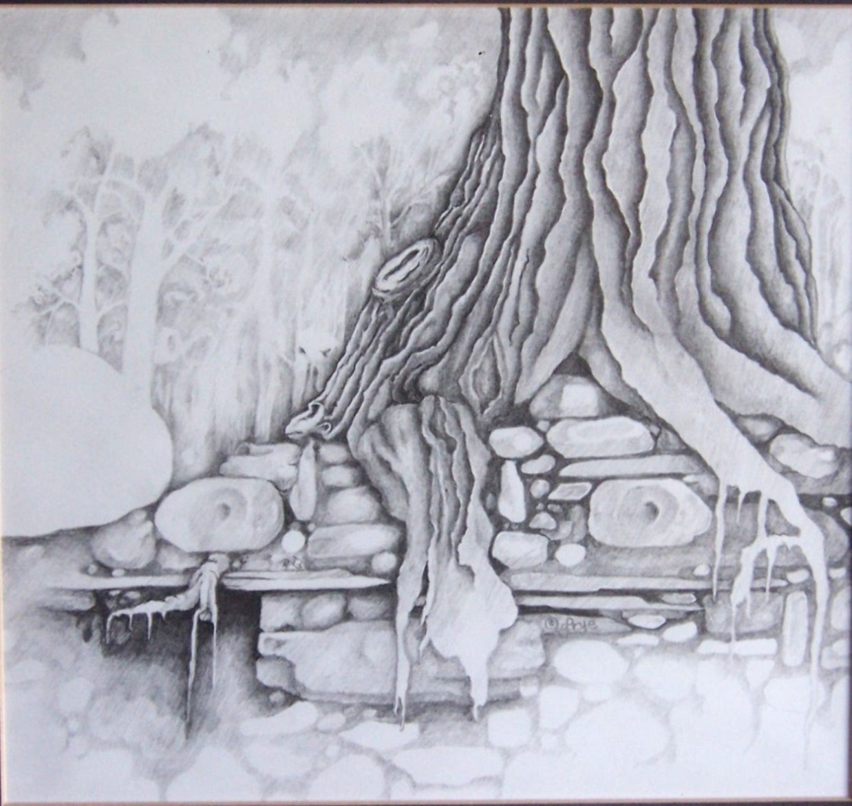 Roots   Pencil Drawing